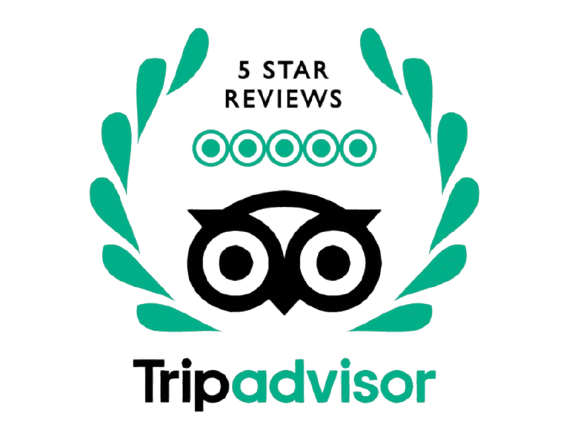 602 6028388_trip advisor tripadvisor llc hd png download removebg preview