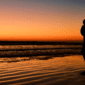 sunset cruise cabo experience 85x85